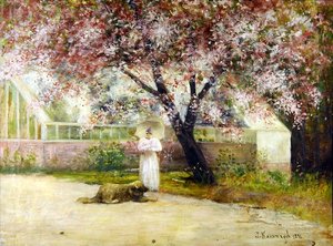 Blossom tekijältä Joseph Malachy Kavanagh