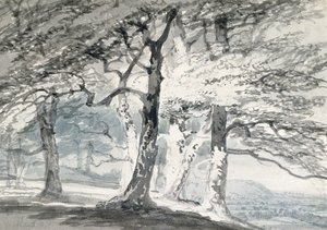 Norbury Park, Surrey (kynä ja akvarelli paperille) tekijältä Joseph Mallord William (attr.to) Turner