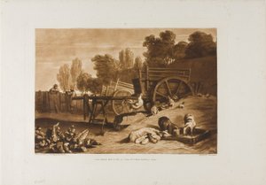 Farm Yard with the Cock, levy 17 Liber Studiorumilta tekijältä Joseph Mallord William Turner