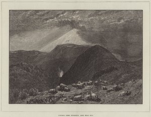 Turner