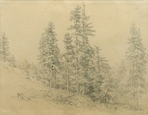 Arvokas hammas tekijältä Joseph Martin Höger