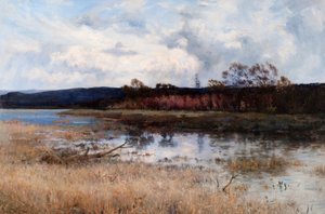 Tay Backwater, Kinfauns, Perthshire finlandès