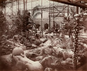 Crystal Palace Lontoossa: trooppinen osa, n. 1870 (b/w kuva)