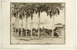 Bishops Walk, Ancon Hill, Panama tekijältä Joseph Pennell