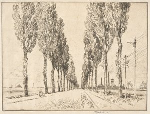 Avenue lähellä Valenciennesia tekijältä Joseph Pennell