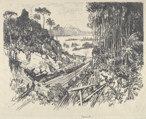 Viidakko, 1912. tekijältä Joseph Pennell