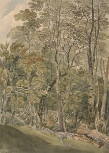 Rydal Parkissa