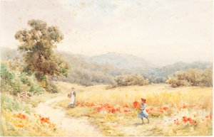 Kesä tekijältä Joseph Rubens Powell