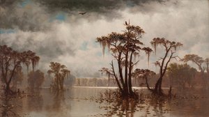 Bayou kohtaus