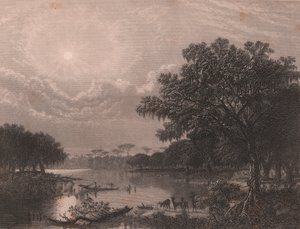Louisiana Bayou, Yhdysvallat, Robert Hinshelwoodin (1812-1875 jälkeen) teräskaiverrus Joseph Rusling Meekerin (1827-1889) maalauksen jälkeen, noin 16x18 cm