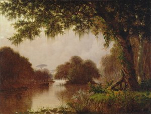 Suo Mississippillä, 1871