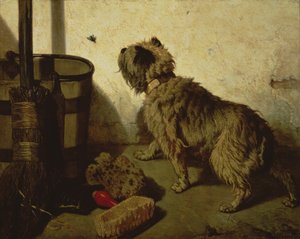 Koira ja kärpäs, 1856