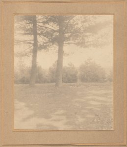 Maisema puiden kanssa, c. 1900.