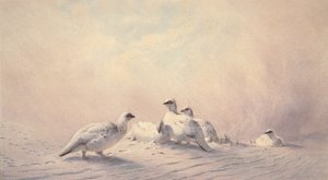 Huonekalut ja erilaiset esineet 1100- ja 1300-luvuilta tekijältä Joseph Wolf