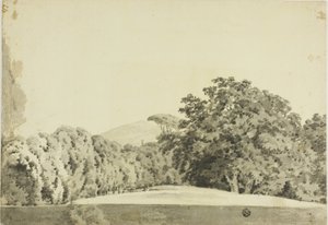 Metsäinen maisema tekijältä Joseph Wright of Derby