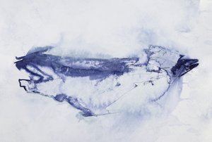Tiivistelmä: Sinilintu tekijältä Joshua Hoskins