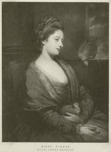 Kitty Fisherin muotokuva (syväpaino) tekijältä Joshua Reynolds
