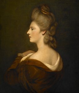 Muotokuva naisesta, jonka oletetaan olevan rouva James Fox tekijältä Joshua Reynolds