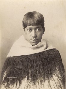 Hora Maniapoto, n. 1890 (albumiprintti)