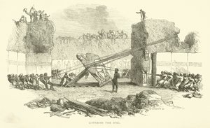 Härän laskeminen tekijältä Josiah Wood Whymper