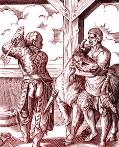 Teurastaja - Ruoka ja ruoanlaitto keskiajalla. Kaiverrus Jost Amman (1539-1591). Kaiverrus 1878 tekijältä Jost (after) Amman