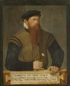 Parrakkaan miehen muotokuva, 1565 tekijältä Jost Amman