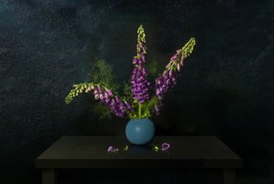 Violetti sormustinkukka - asetelma tekijältä Juan Antonio Palacios