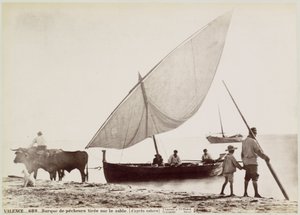 Ossen trekken vissersboot het strand op Valenciassa VALENCE.- Hiekalle piirretty kalastusvene. (luonnosta) (otsikko esineessä)