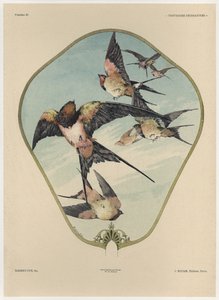 Tuuletin, levy 30 julkaisusta "Fantaisies decorations", kaiverrus Gillot, julkaisija Jules Rouam, Librairie de l