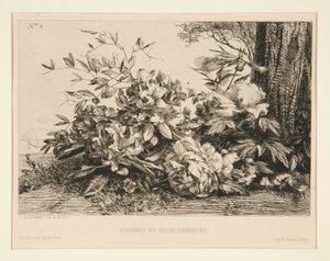 Pionit ja Rhododendronit tekijältä Jules Ferdinand Jacquemart