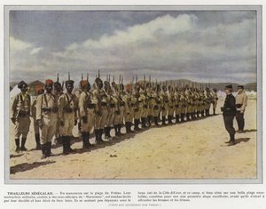 Senegalilainen Tirailleurs