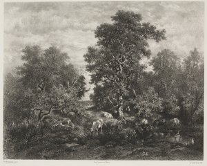 Lampi, Théodore Rousseaun (1812-67) jälkeen
