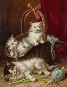 A Basket of Mischief (öljy kankaalle)