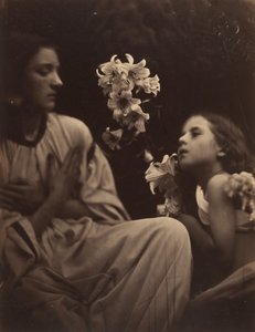 Tutkimus, 1865-66. tekijältä Julia Margaret Cameron