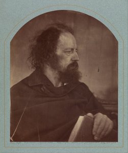 [A. Tennyson/Likainen munkki] tekijältä Julia Margaret Cameron