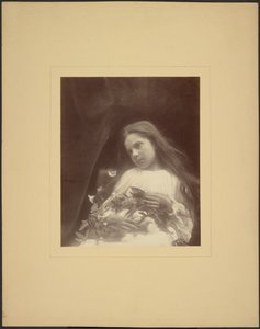 [Adeline Norman] tekijältä Julia Margaret Cameron