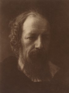 Alfred, Lord Tennyson, 1867, painettu 1905. tekijältä Julia Margaret Cameron