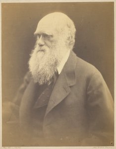 Charles darwin tekijältä Julia Margaret Cameron