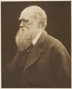 Charles Darwin tekijältä Julia Margaret Cameron