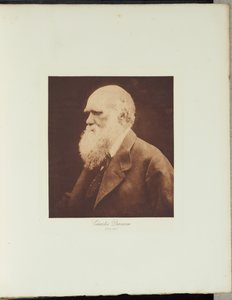  tekijältä Julia Margaret Cameron