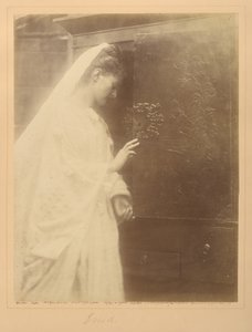  tekijältä Julia Margaret Cameron