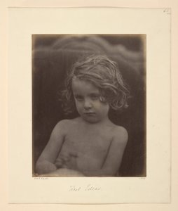 Ensimmäiset ideat tekijältä Julia Margaret Cameron
