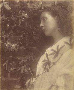 Maud "Portilla olevasta intohimokukasta on pudonnut upea kyynel" - tekijältä Julia Margaret Cameron