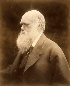 Charles Darwinin muotokuva, 1868