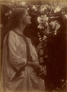 [Kevät] tekijältä Julia Margaret Cameron