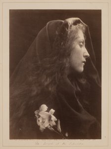  tekijältä Julia Margaret Cameron