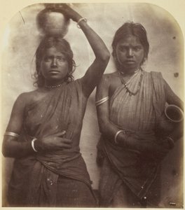 Nimetön (Ceylon) tekijältä Julia Margaret Cameron