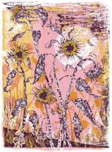 son sine sole iris, 2016 (silkkipaino) tekijältä julia McKenzie