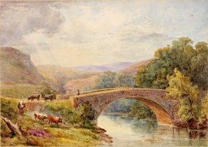 Lewisburn Bridge, North Tyne tekijältä Julia Swinburne