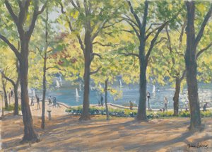 Central Park, New York, 2010 tekijältä Julian Barrow